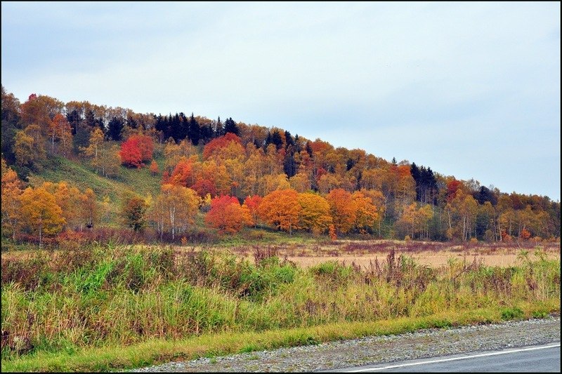 Андрей Емелин 忍者 | Южно-Сахалинск