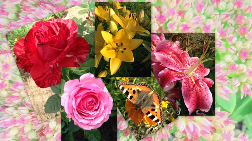 Юлия Петрушина | Санкт-Петербург