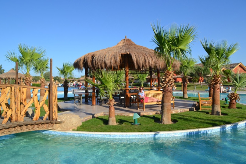 Татьяна Суслова | Ногинск