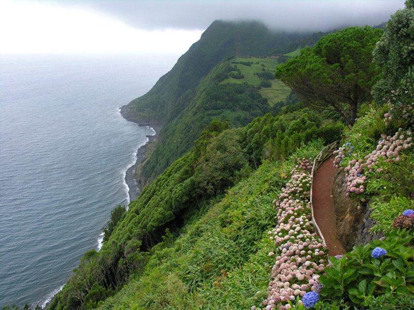 Наталья Бородулина | Великий Новгород