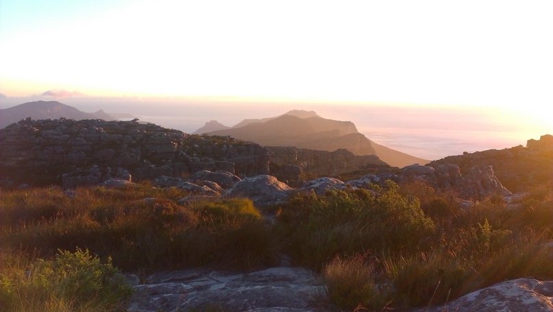 Елизавета Викторова | Воронеж