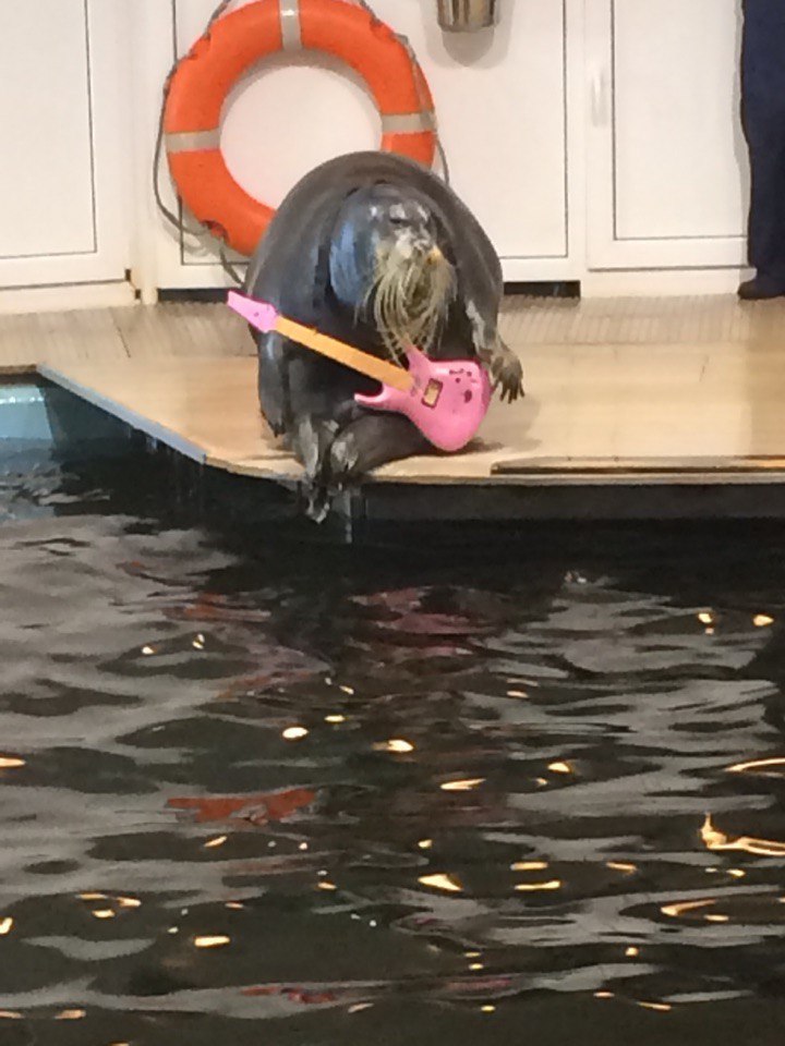 Мария Дроздова | Алакуртти