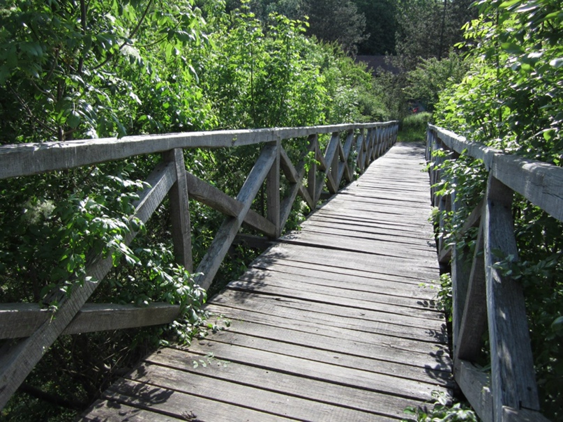 Марина Симонова | Москва