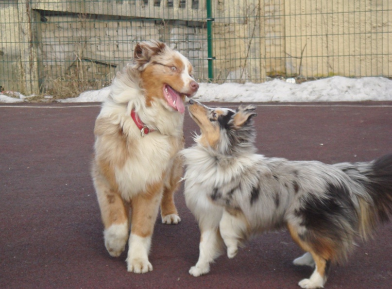 Елена Павлова Kitana | Санкт-Петербург