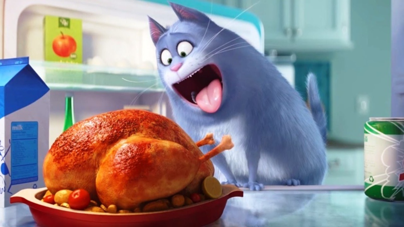 Анна Ру | Владивосток