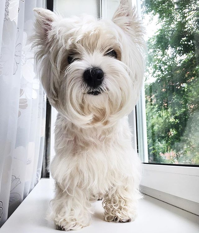 Даша Коновалова | Санкт-Петербург