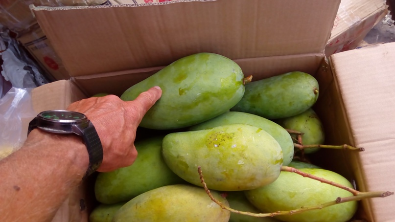 Юра Кириллов | Новосибирск