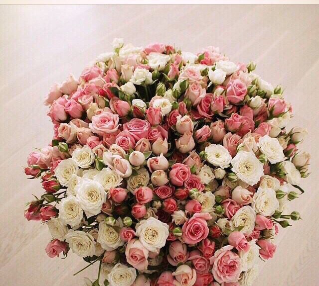 Инна Потапова | Санкт-Петербург