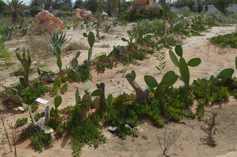 Татьяна Мелихова | Москва