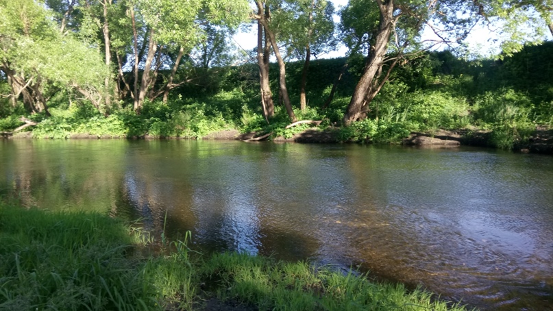 Андрей Аксёнов |