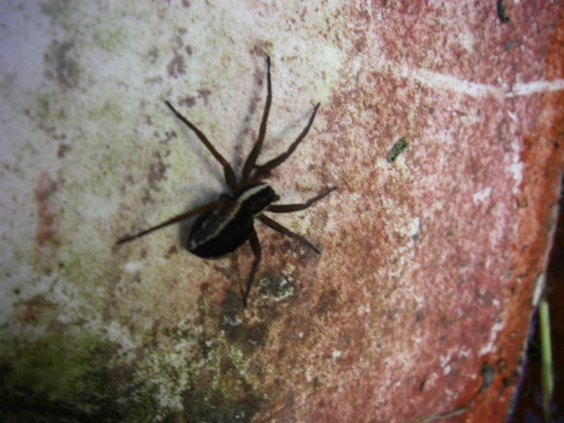 Татьяна Борисова | Зеленоград