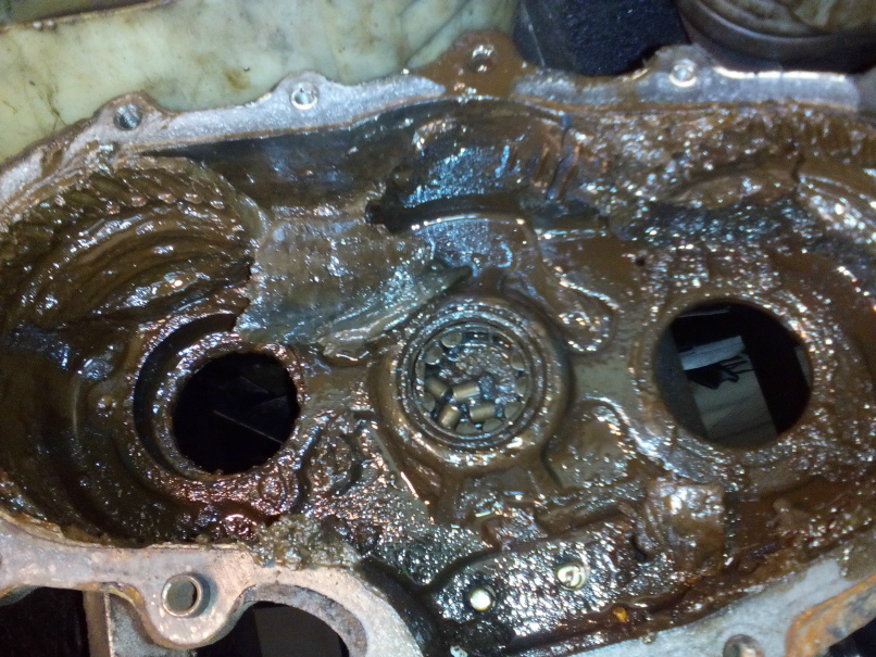 Дмитрий Родионов | Псков