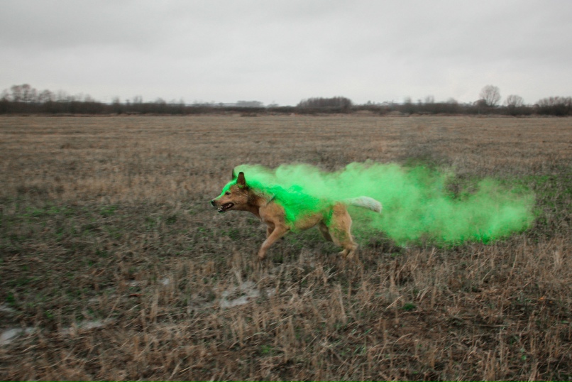 Найк Бойцов | Москва
