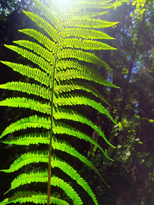 Ксения Силкина | Екатеринбург