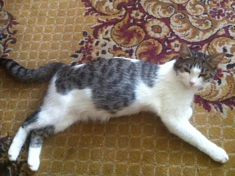 Алина Савельева | Москва