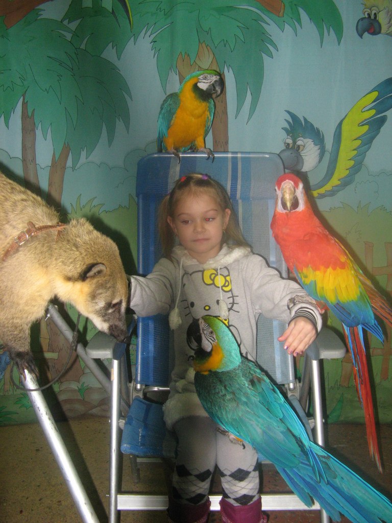 Александр Яшин | Новомосковск