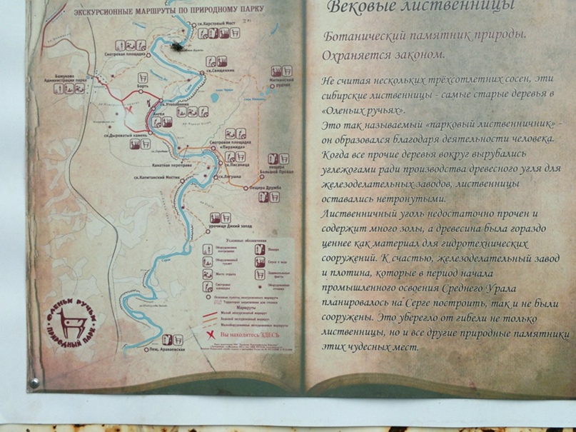 Ирина Борисова | Екатеринбург