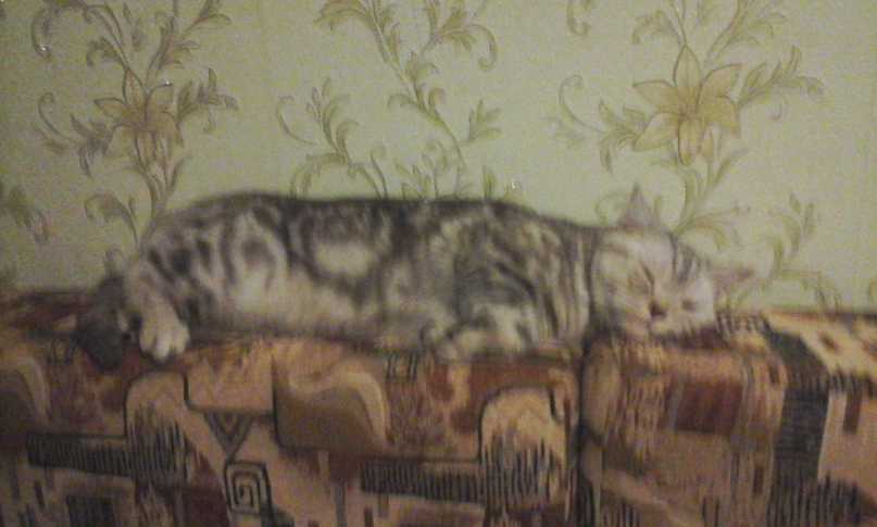 Алексей Лукьяненко |