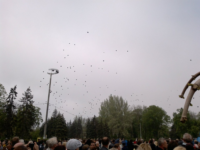 Алёна Щербина | Одесса