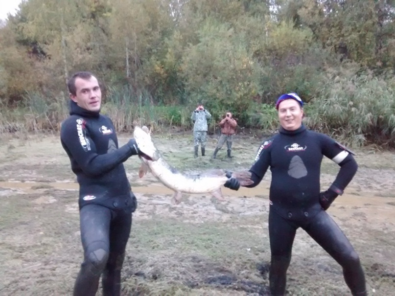 Владимир Шилин | Брянск