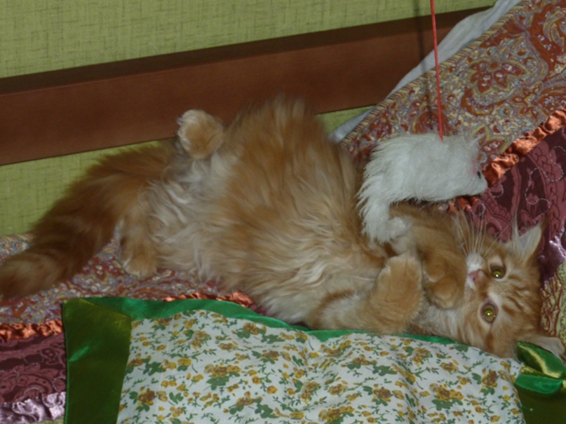 Наталья Ульянова | Москва