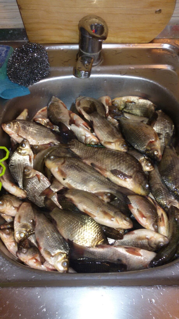 Рома Хижняк | Белгород