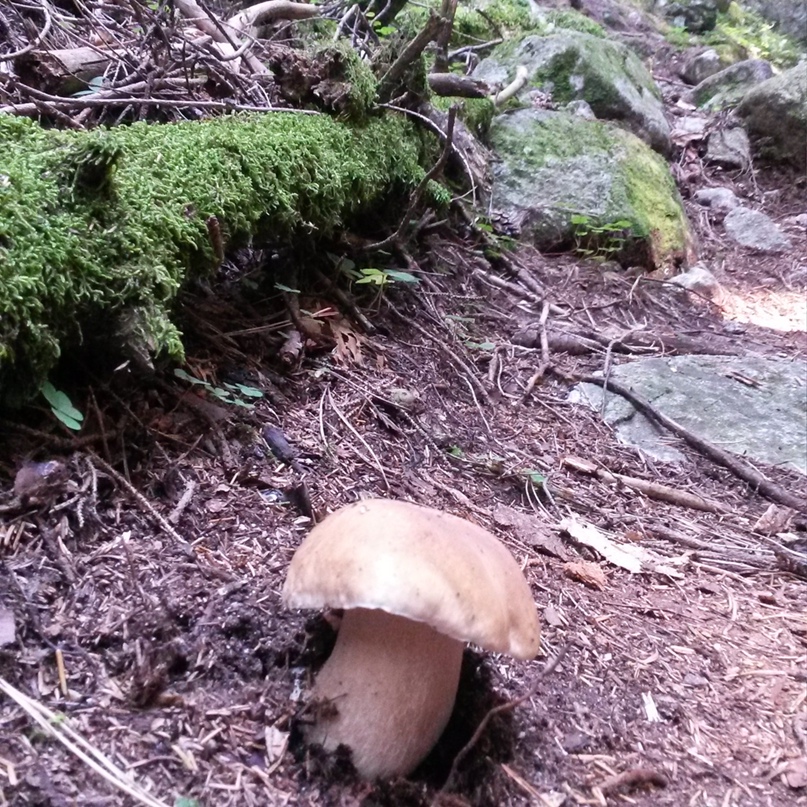 Сергей Васькин | Москва