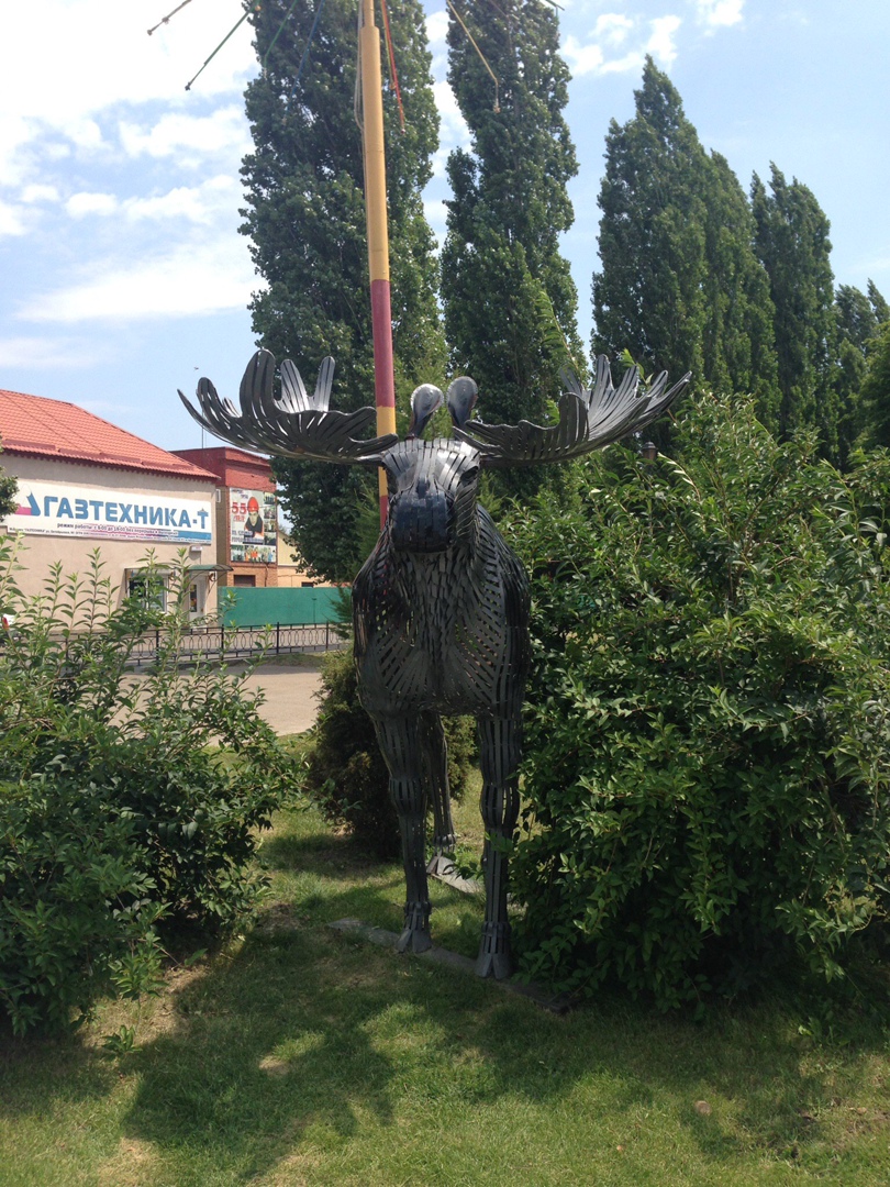 Тимур Гаврилов