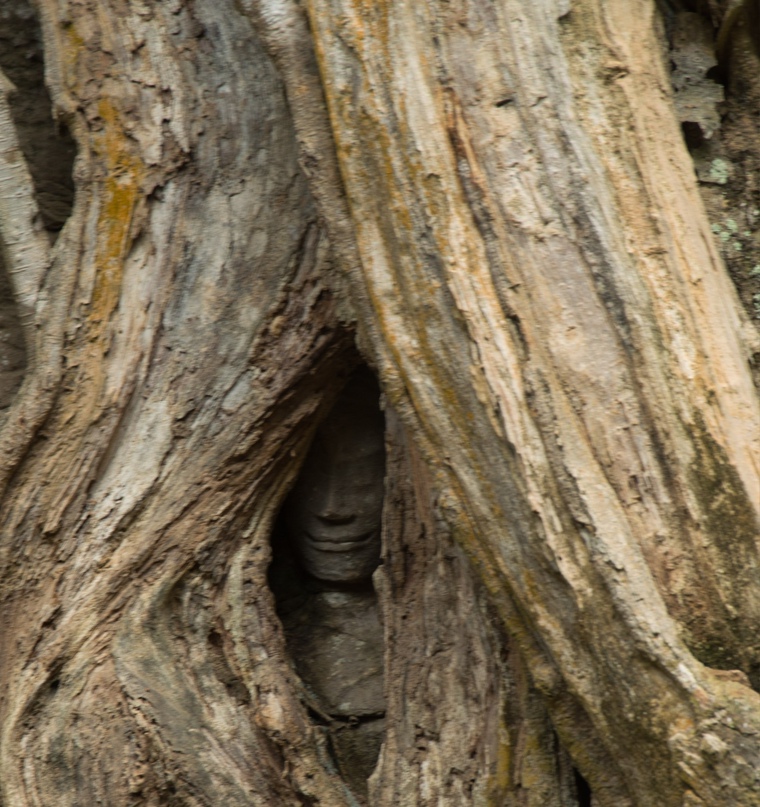 Мария Малькевич | Александров