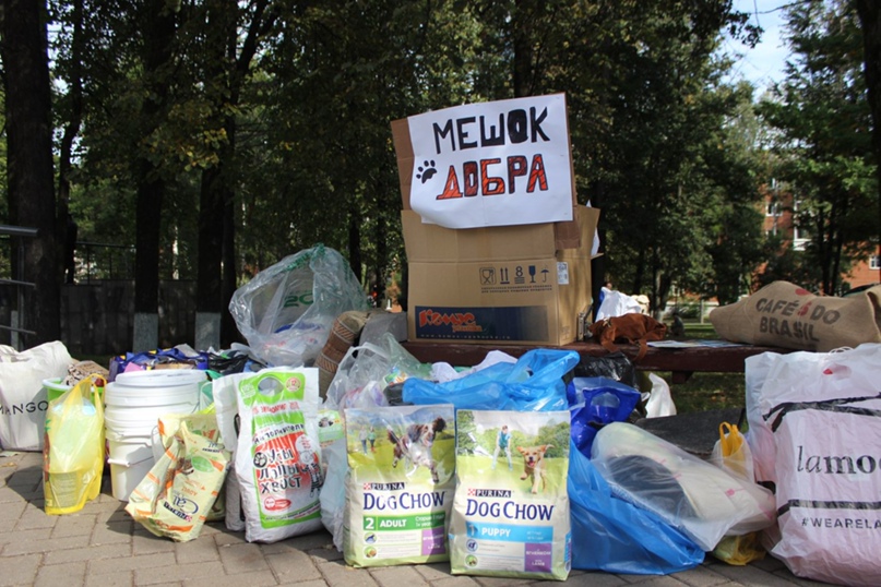 Анна Фоминых | Ижевск