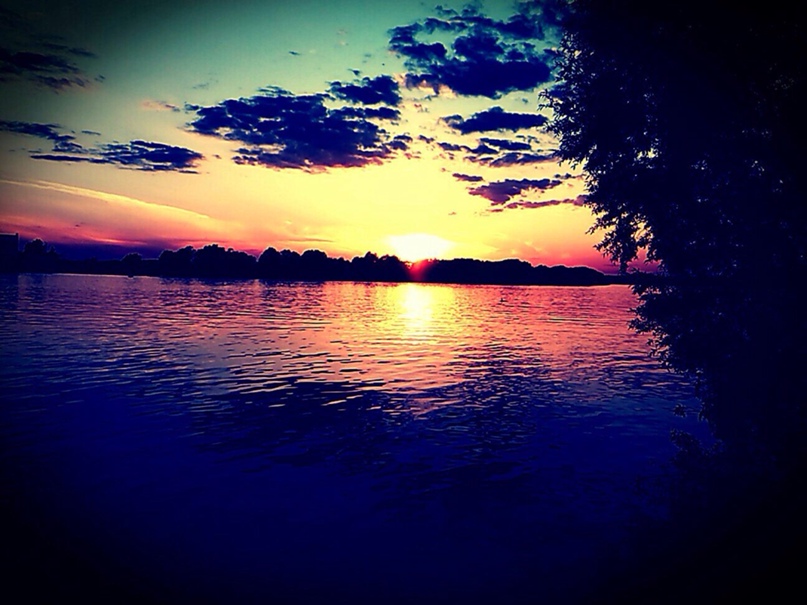 Александр Дроненко | Санкт-Петербург