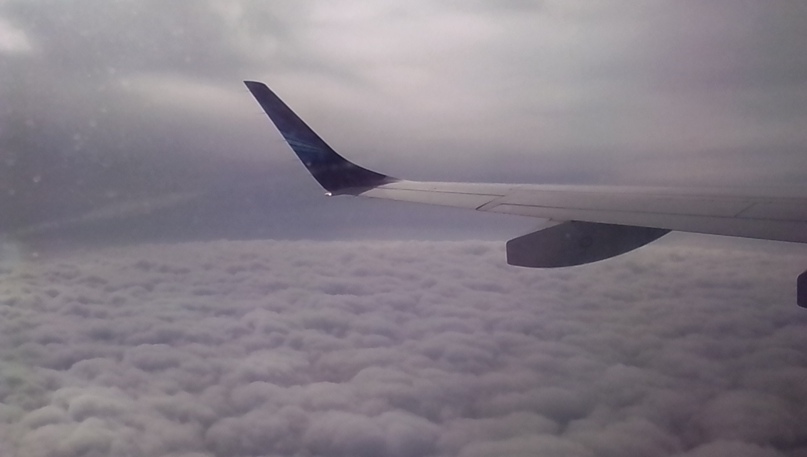 Станислав Нестеров | Ставрополь