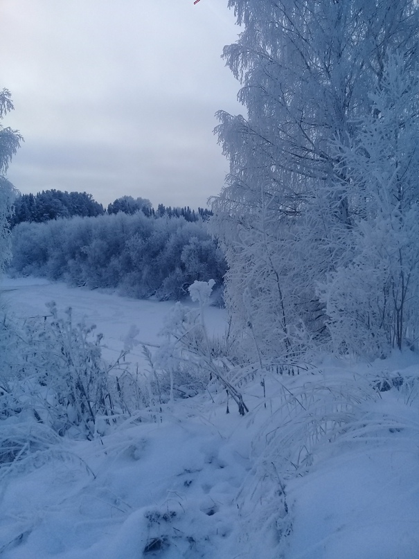 Аня Петрова | Кудымкар