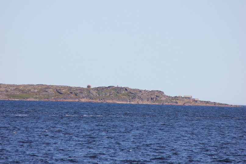 Марта Мартынова | Петрозаводск