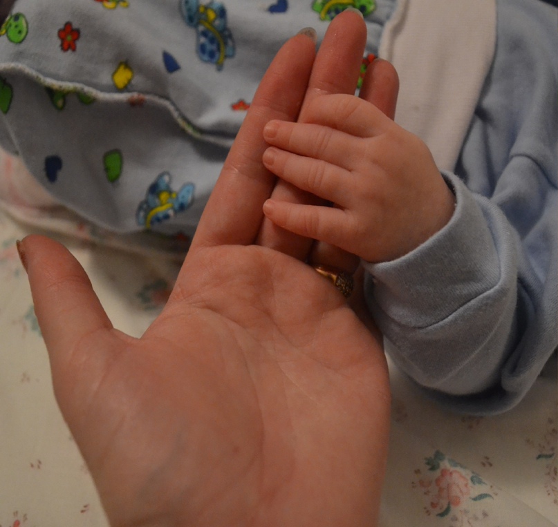 Юлия Шевченко | Новая Каховка