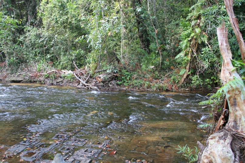 Мария Белова | Москва