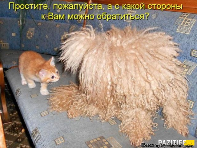 Людмила Сарычева | Дзержинск