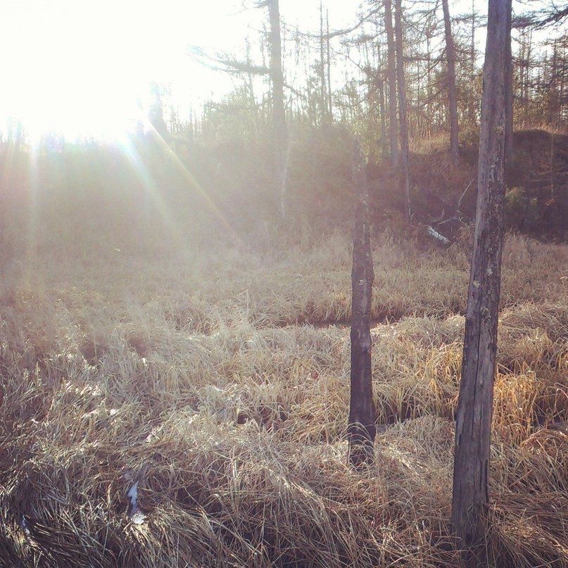 Максим Перепелица | Оха