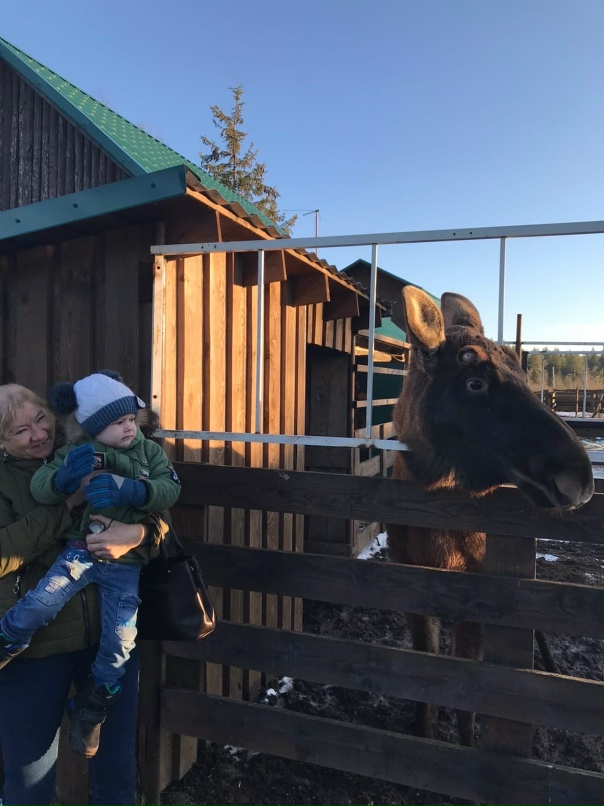 Александр Сушко | Элиста