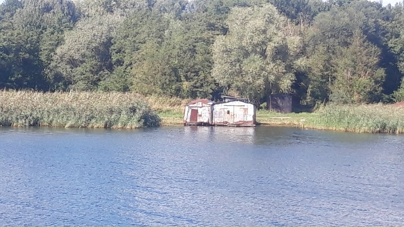 Андрей Карелин | Калининград