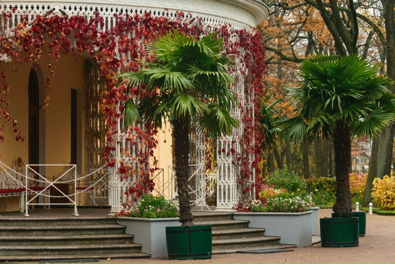 Лилия Кондратьева | Псков