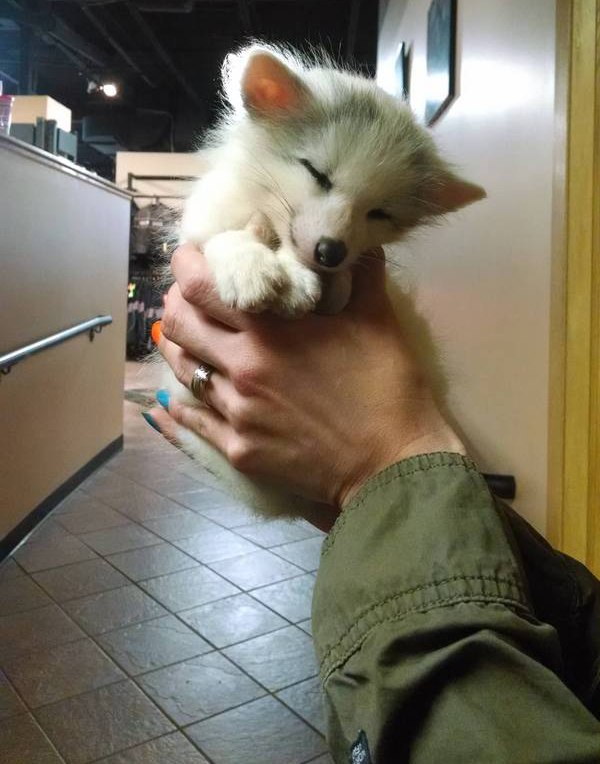 Антон Александрович | Тюмень