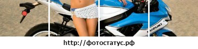 Макс Молчанов | Мичуринск