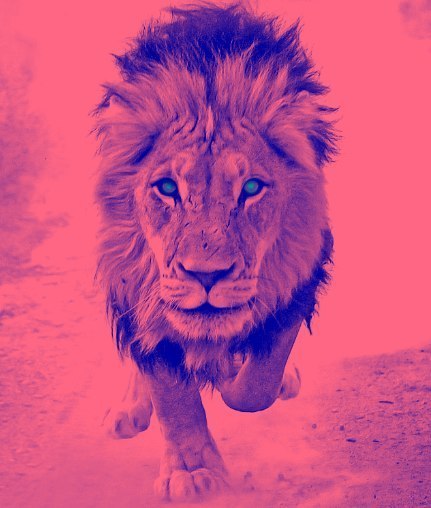 Леонид Анатольевич |