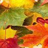 Валентина Фомичёва | Киев