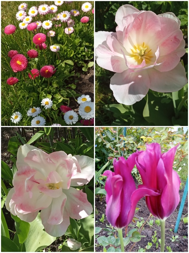 Надежда Елизарова | Санкт-Петербург