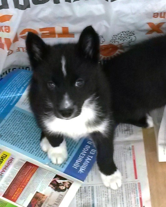 Татьяна Стоянова | Первоуральск