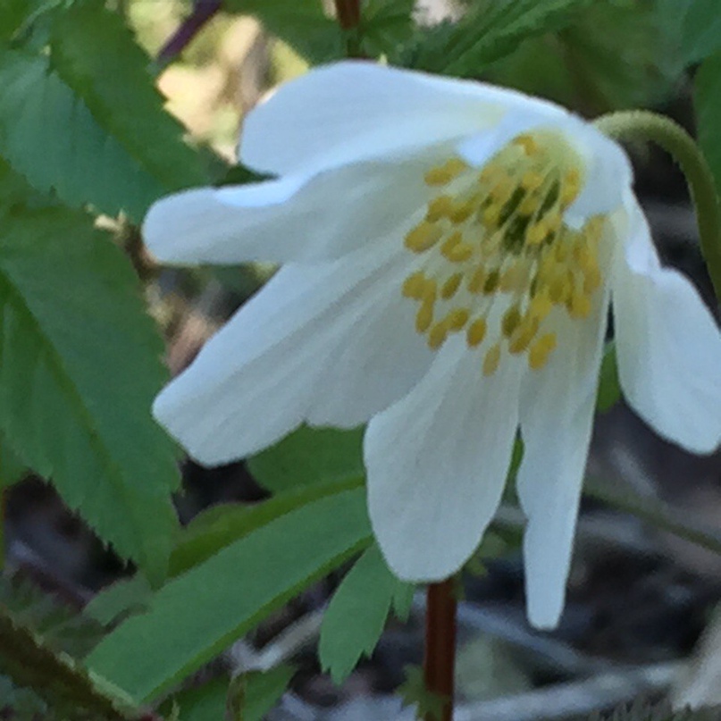 Юля Артемьева | Санкт-Петербург