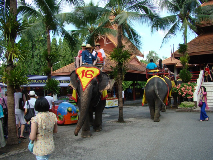 Юлия Пирожкова | Санкт-Петербург