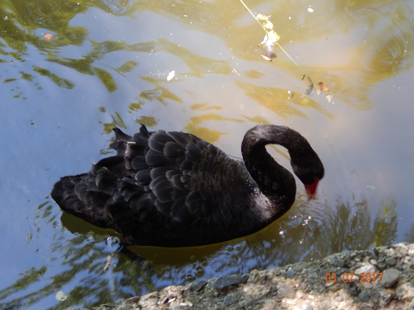 Татьяна Журавель | Красноярск